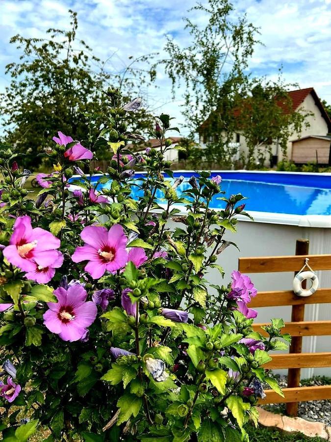 Le Heron Pourpre B&B gastronomique Cronat Extérieur photo