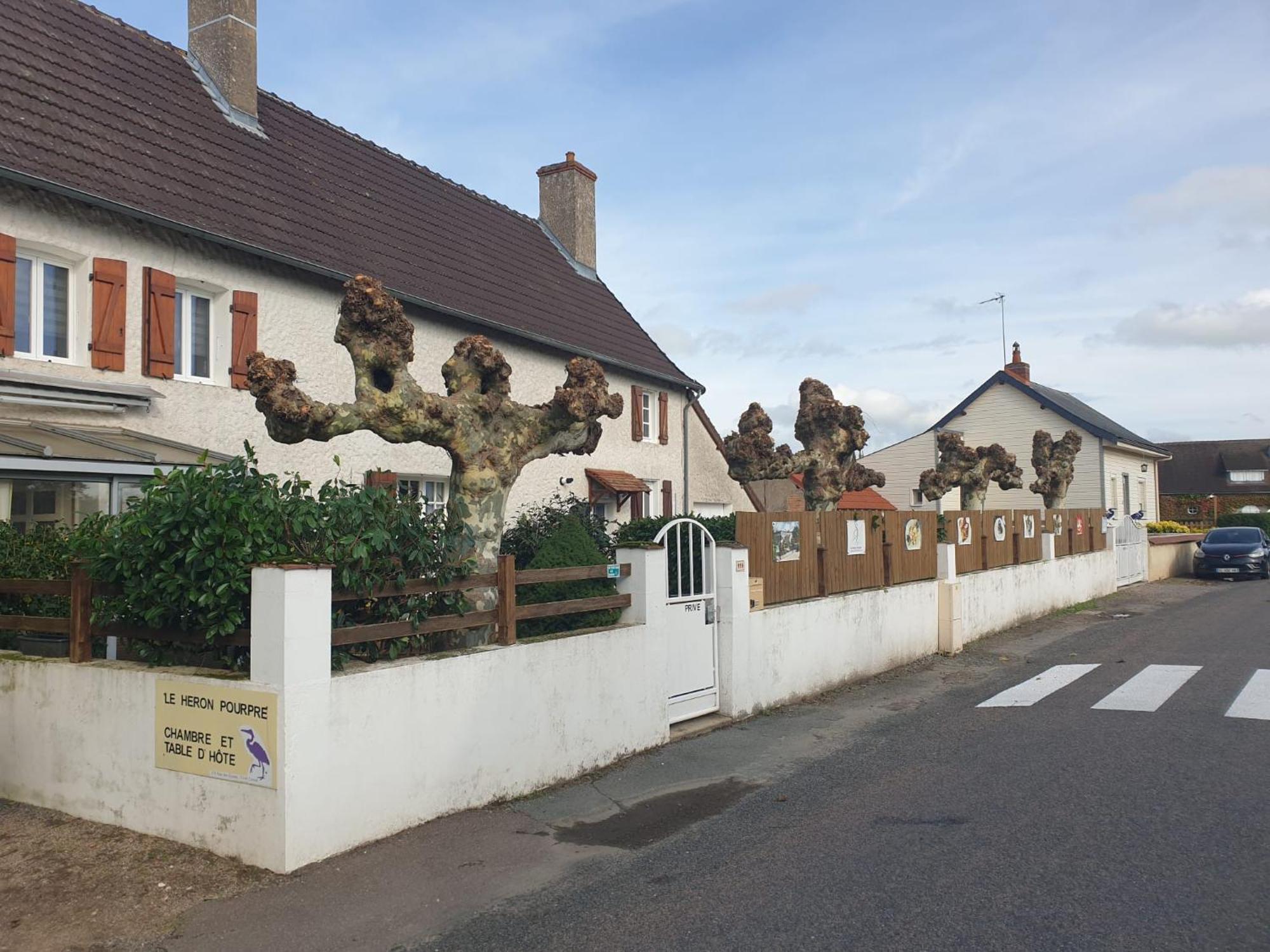 Le Heron Pourpre B&B gastronomique Cronat Extérieur photo